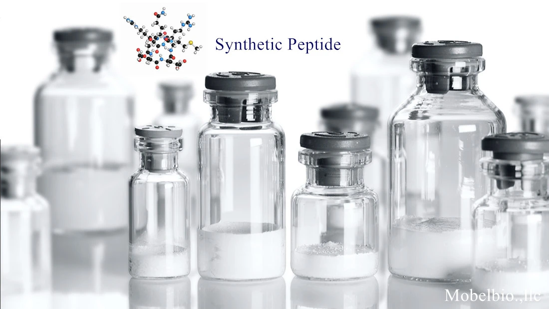 Drug peptide supplier Mobelbio Drug peptide supplier Mobelbio