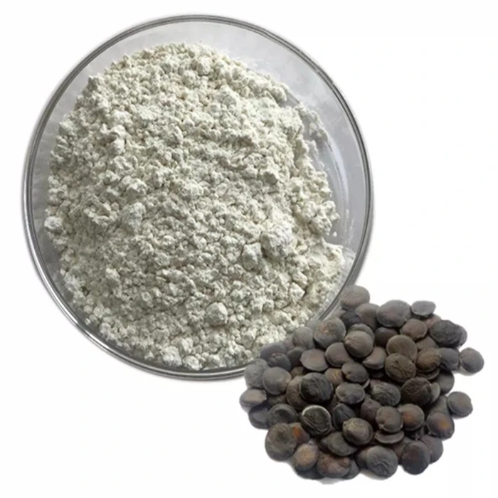 5 Hydroxytryptophan