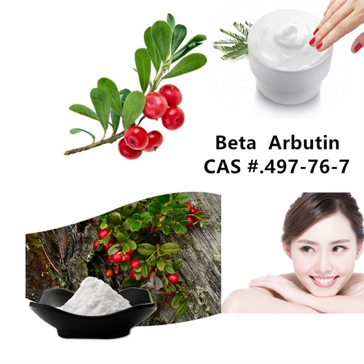 Beta Arbutin Powder