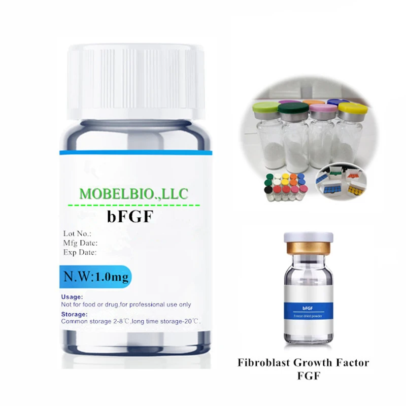 Bfgf Growth Factor
