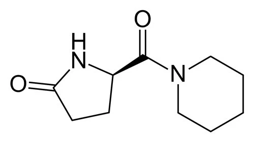Fasoracetam Powder