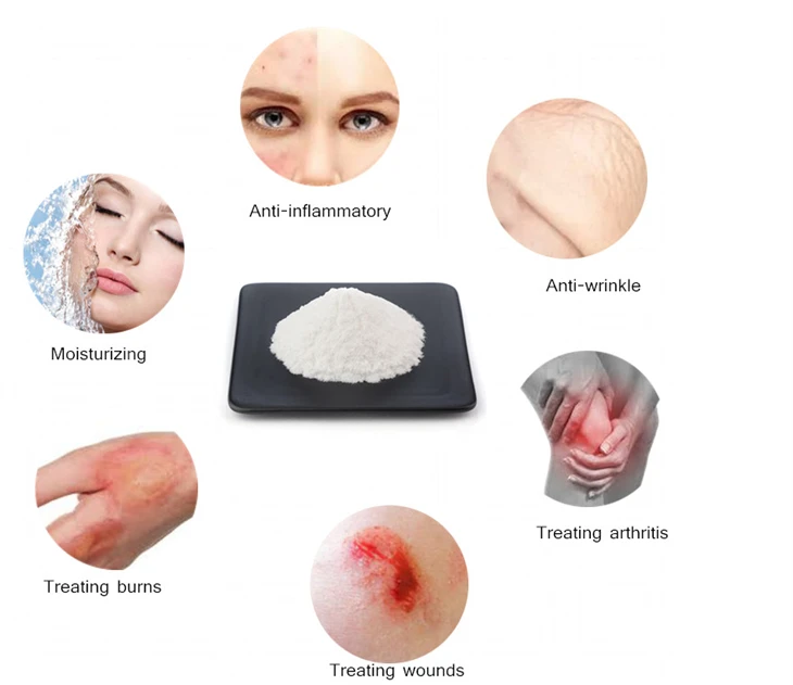 Hyaluronic Acid Powder