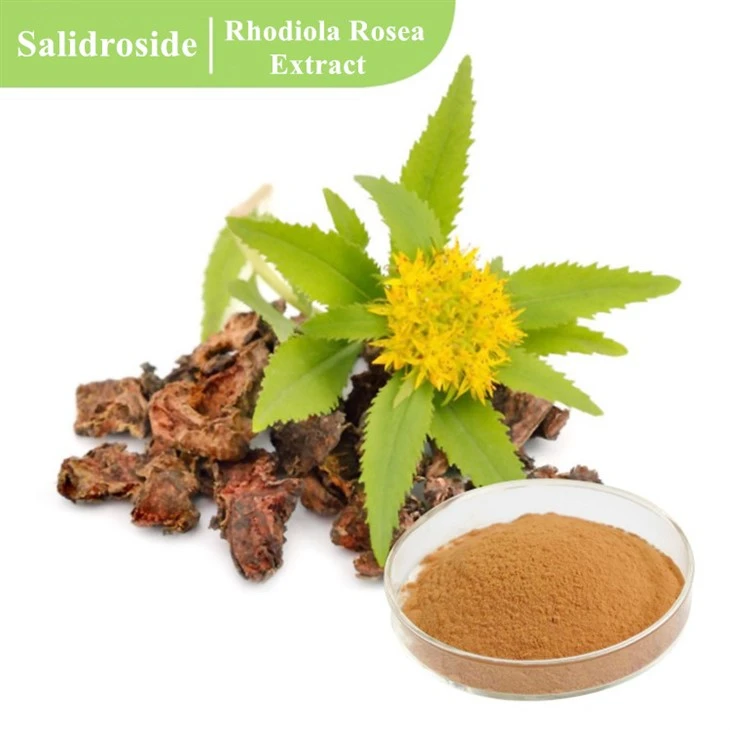 Salidroside