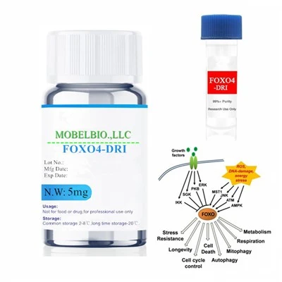 Foxo4 Dri Peptide