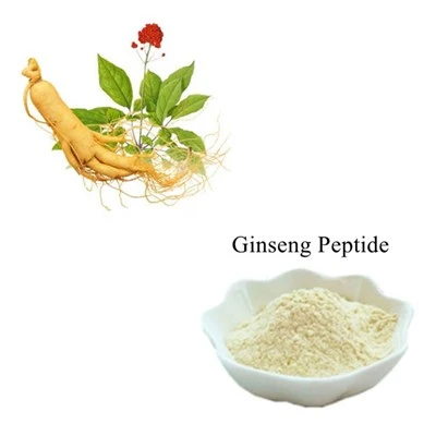 Ginseng Peptide