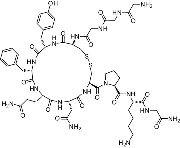 Terlipressin