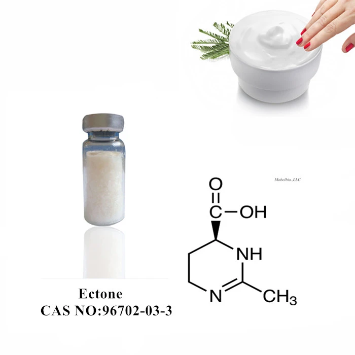 Ectone