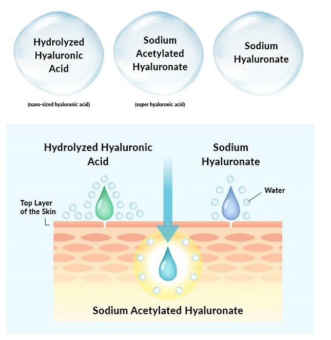 Sodium Acetylated Hyaluronate Skin Sodium Acetylated Hyaluronate Skin