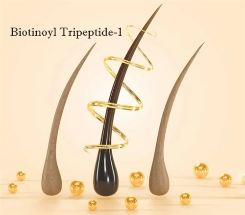 Biotinoyl Tripeptide-1 and hair