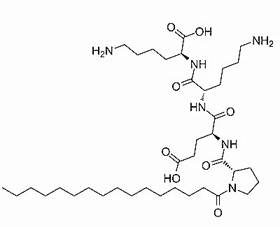 product-400-325 product-400-325