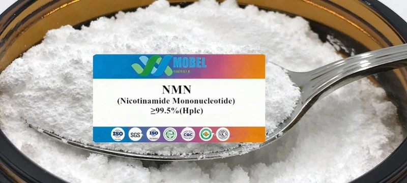 nmn powder supplier nmn powder supplier